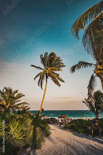 Fototapeta Naklejka Na Ścianę i Meble -  Sunset view in Tulum at tropical coast. Palm tree and beach in Quintana Roo, Mexico.