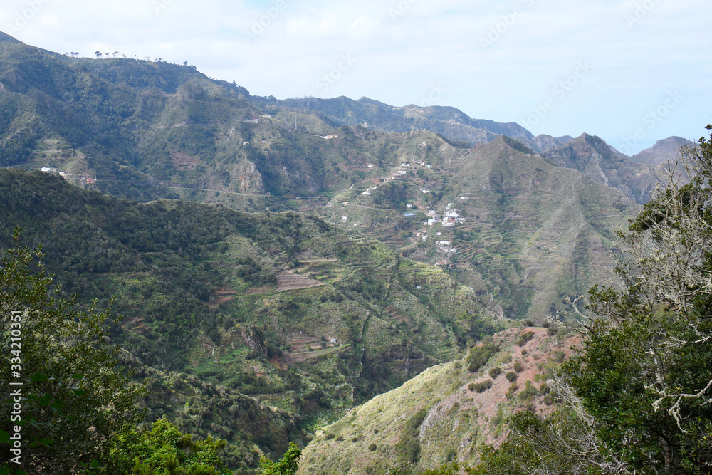 Fototapeta premium Ile de tenerife, massif de l'Anaga, chimanada