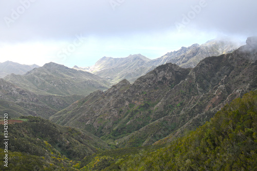 Ile de tenerife, massif de l'Anaga, chimanada © stephane
