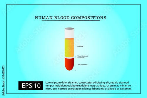 Human blood composition vector: Red blood cells, white blood cells, platelets and plasma