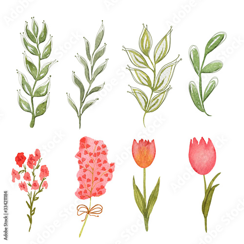 Watercolor illustration of floral elements, tulips, leaves and branches. Drawn in watercolor and is suitable for all types of design and printing.