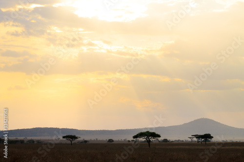Serengeti National Park landscape  Tanzania  Africa