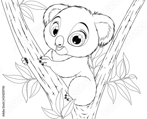 Funny little koala