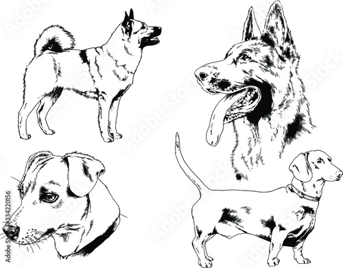 vector drawings sketches pedigree dog and cat drawn in ink by hand , objects with no background