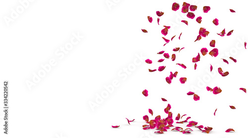 Rose petals fall beautifully on the floor
