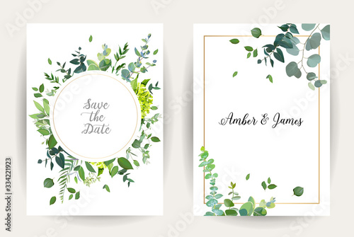 Herbal minimalistic vector frames. Hand painted eucalyptus, branches, leaves on white background