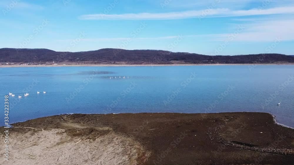 Aerial shot above a lake with birds swimming Aerial shot above a lake with birds swimming