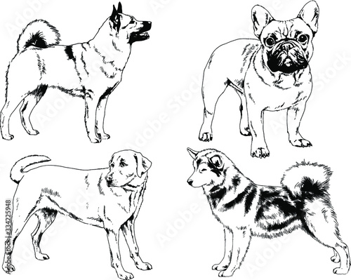 vector drawings sketches pedigree dogs in the racks drawn in ink by hand   objects with no background