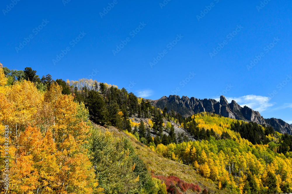 Fall Colors in Colorado