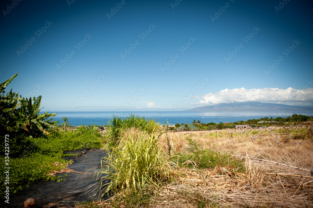 View of Maui