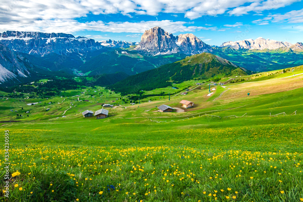 Beautiful scenery of yellow wild flower field along with cottages and mountains as a background atof Secada, Dolomite, Italy