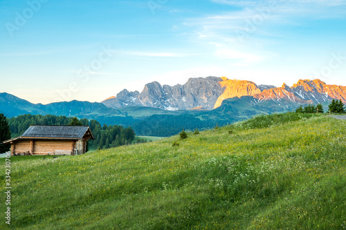 A    Beautiful morning scenery of Alpe di siusi  Dolomite  Italy