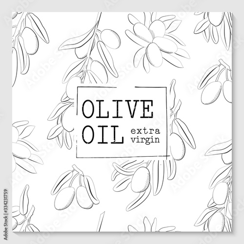 Vector packaging design elements and templates for olive oil extra virgin labels and bottles