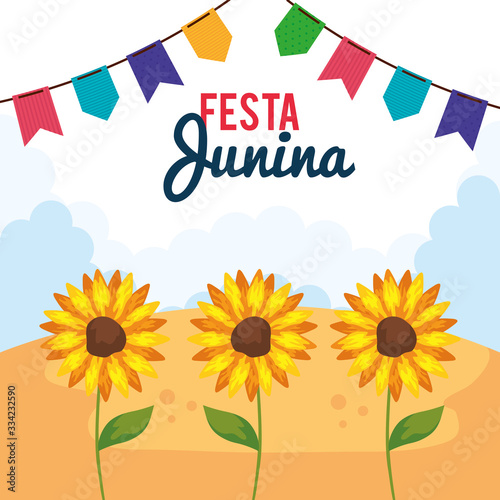 Fototapeta Naklejka Na Ścianę i Meble -  festa junina poster with sunflowers and decoration vector illustration design