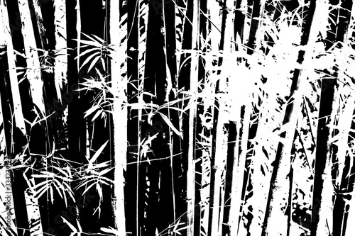 bamboo tree texture pattern background © InfinitePhoto