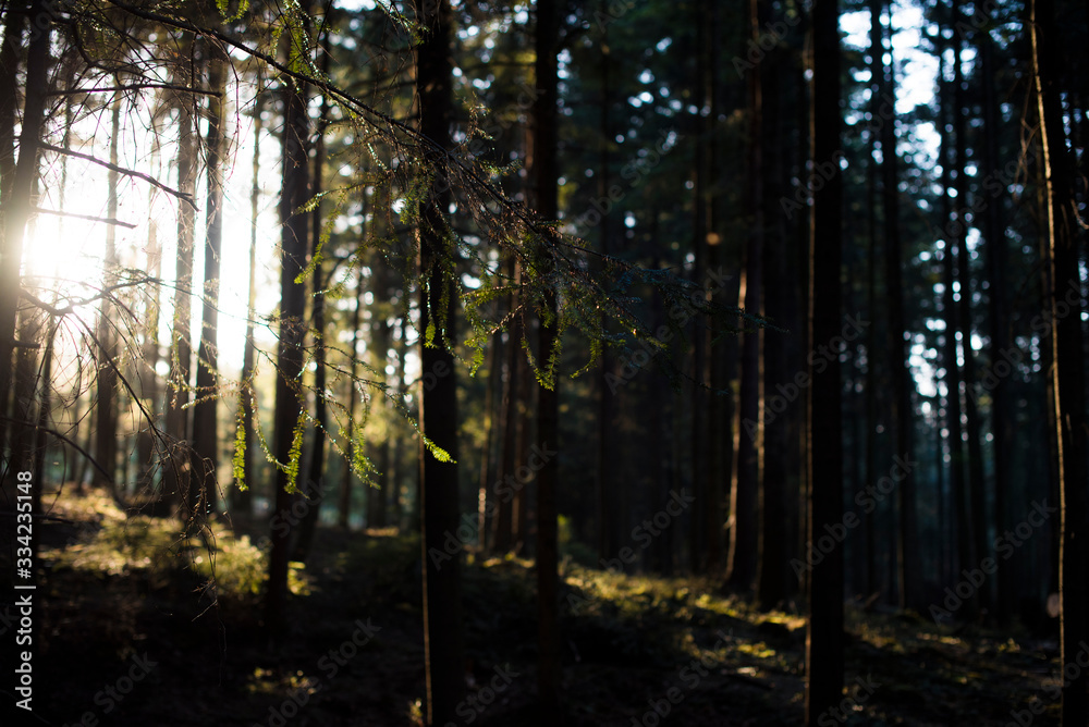 Obraz premium Beskidy