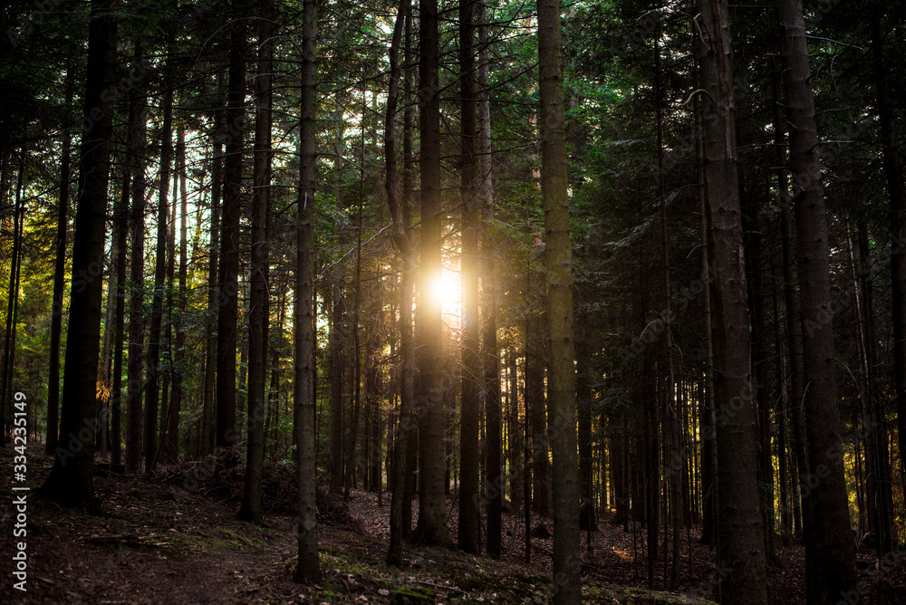 Obraz premium Beskidy