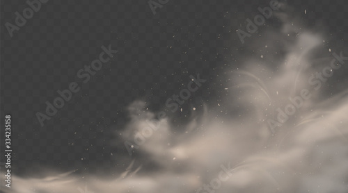 Road dust cloud with stones and flying dirty, soil particles isolated on transparent background. Dust sand cloud. Air pollution concept. Realistic vector illustration