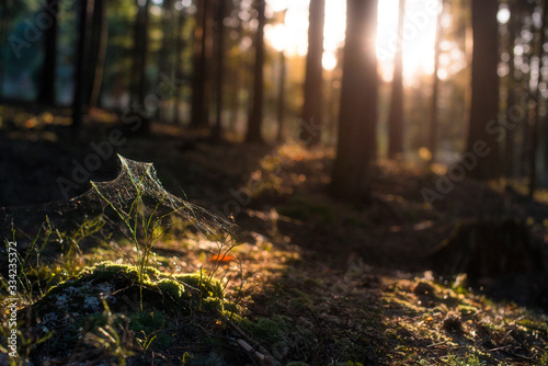 Fototapeta Naklejka Na Ścianę i Meble -  Beskidy
