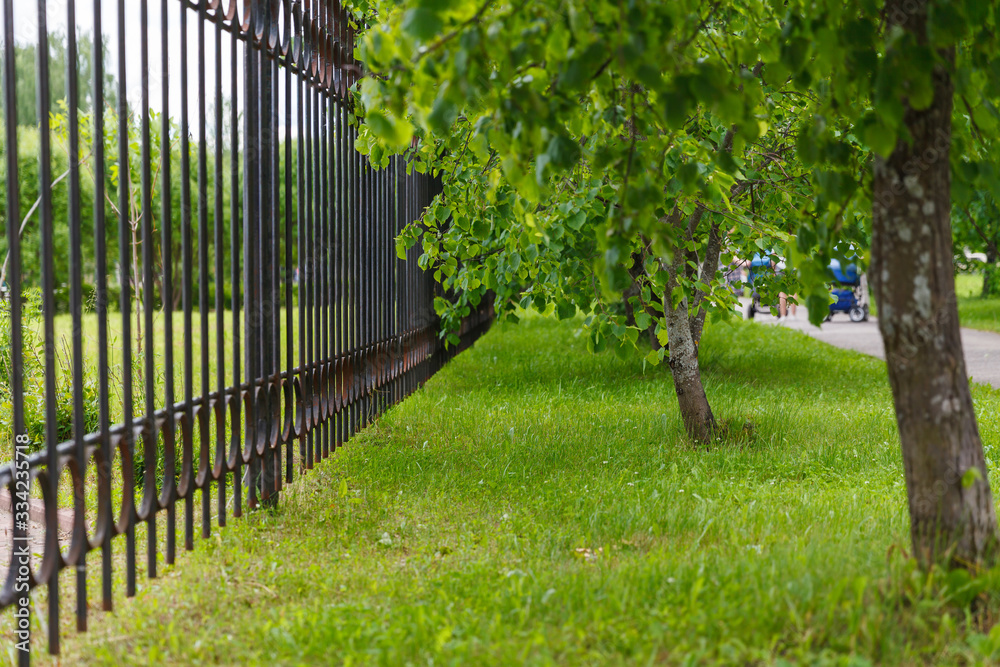 Metal fence in the park Metal fence in the park