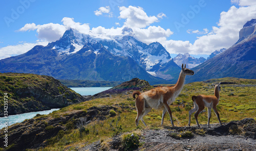 Chilean Patagonia  Torres del Paine                      