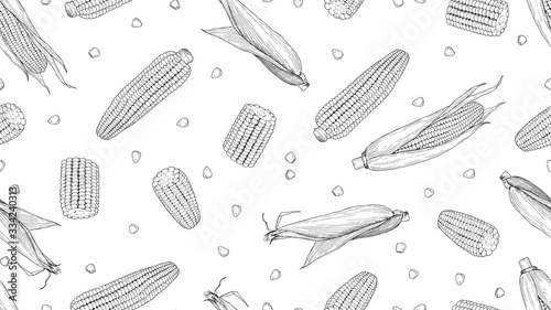 Sketch corn. Harvesting cereals, hand drawn cobs and seeds vector seamless pattern. Drawing corn natural, agriculture organic illustration