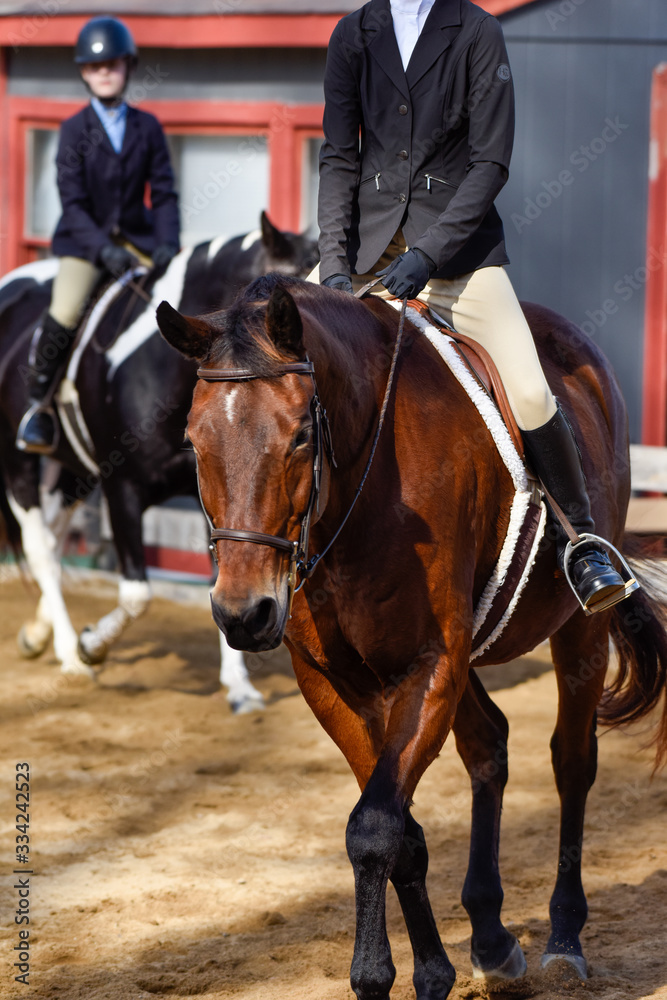 Hunter/jumper horse show