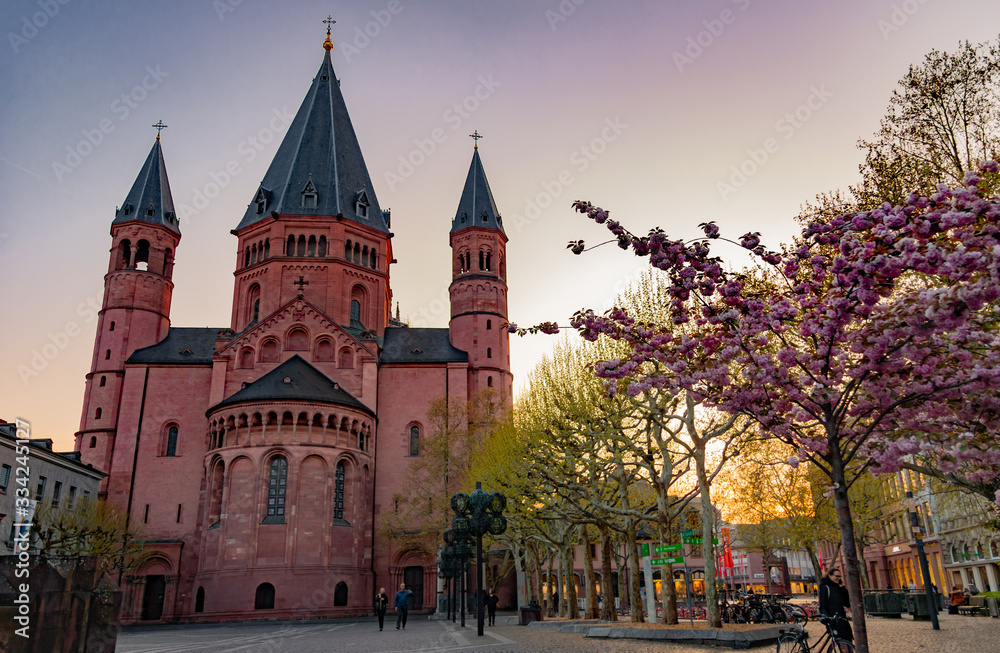 Fototapeta premium Mainzer Dom