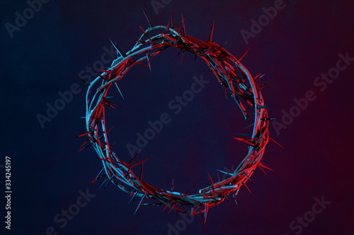 Canvas Print Crown Of Thorns On A Dark Background
