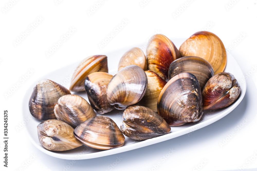 clam shell raw fresh seafood on plate isolated on white background clam shell raw fresh seafood on plate isolated on white background