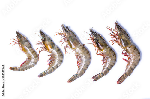 Fresh Tiger shrimp isolated on white background