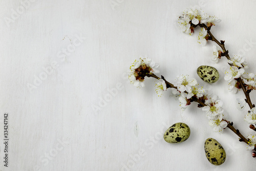 Blossoming branch isolated on white background. Easter concentration