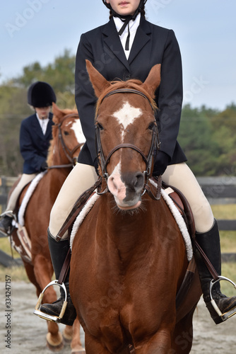 Hunter/jumper horse show © Amanda