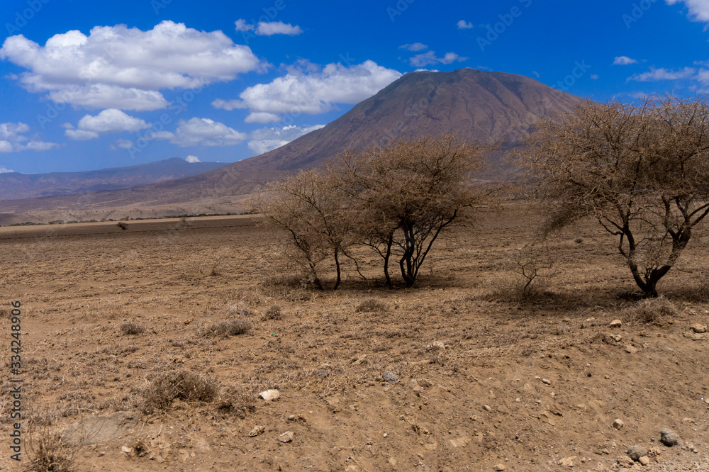 Fototapeta premium Kilimanjaro view from national park of Serengeti