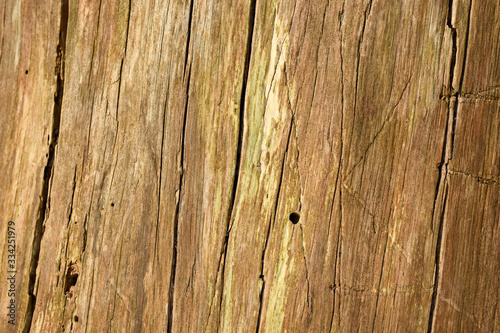 Weathered wooden texture