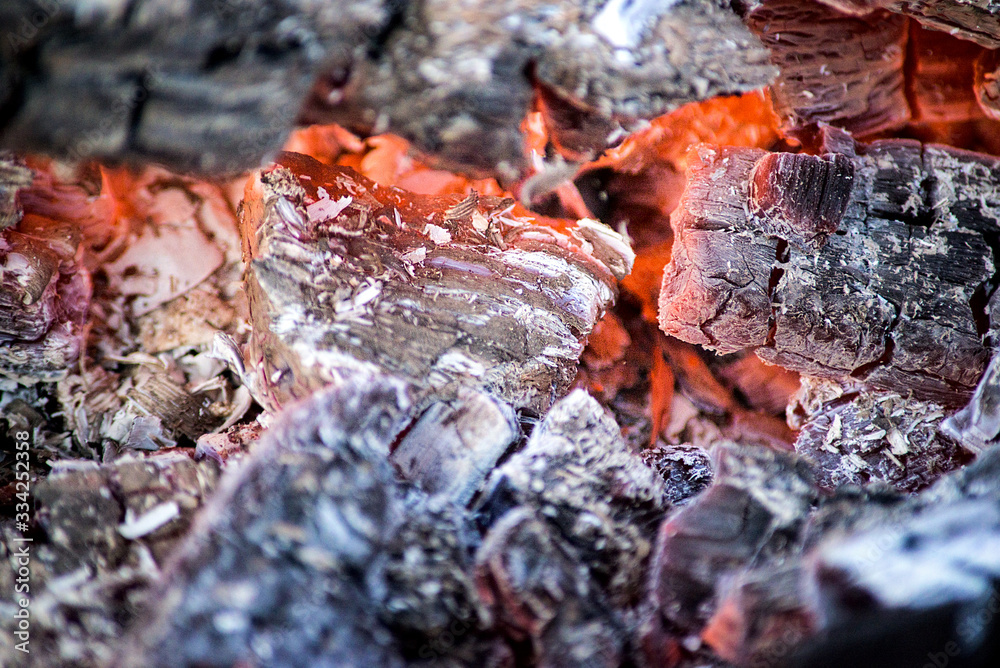 black embers of a tree engulfed in flames of fire black embers of a tree engulfed in flames of fire