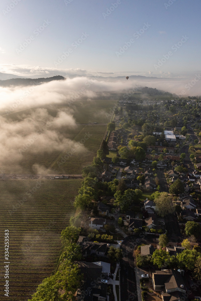Obraz premium Napa Valley Hot Air Balloon Viewpoints