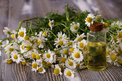 Daisies, chamomile flowers and chamomile oil in bottles on wooden background