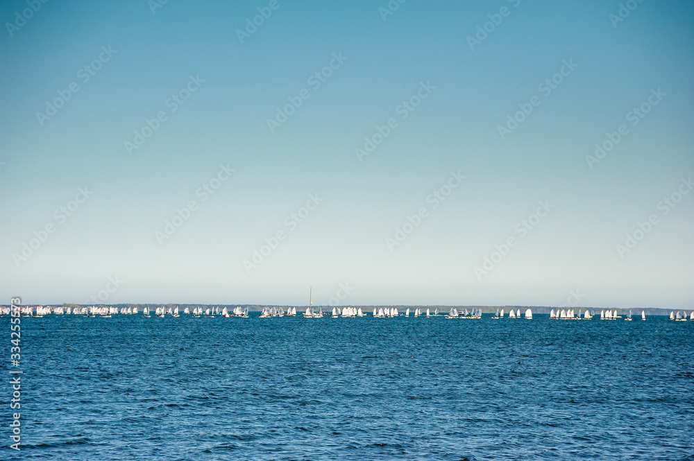 A lot of white sailboats on the water during regatta competitions
