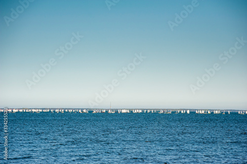 A lot of white sailboats on the water during regatta competitions © diesirae