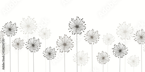 Seamless dandelion pattern, vector seamless background with hand drawn plants and seeds