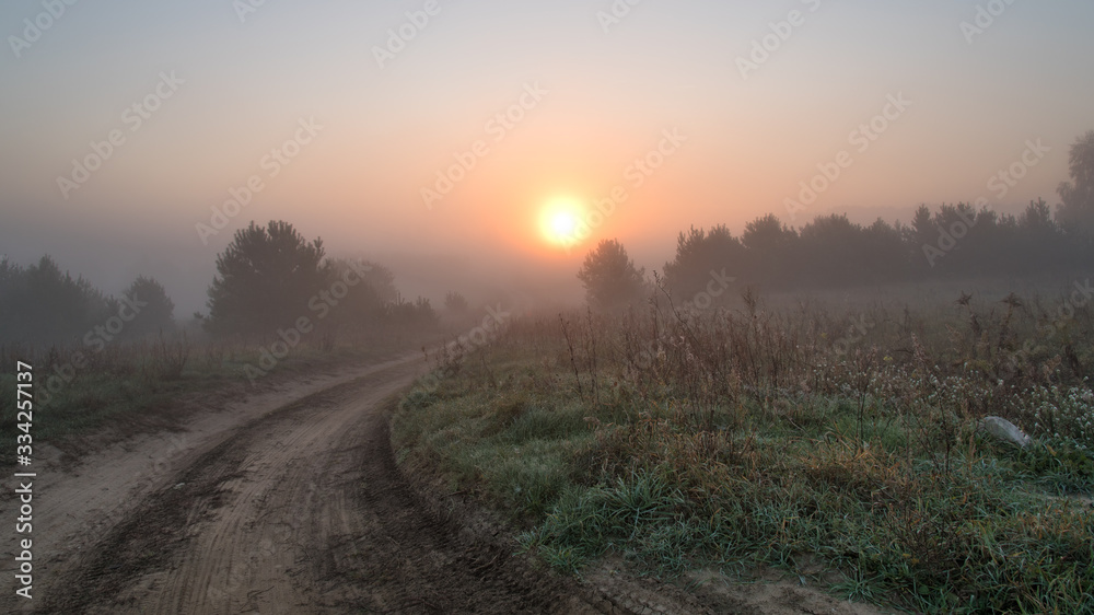 road in the fog road in the fog