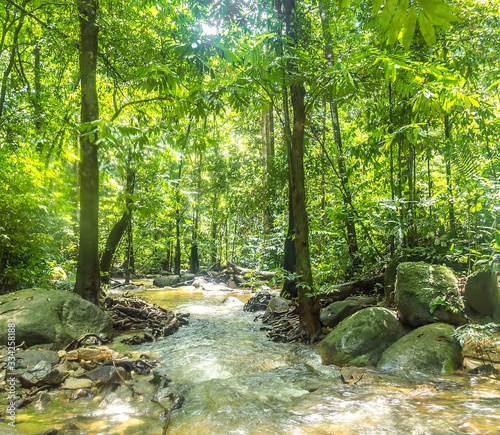 Natural stream from mountain at tropical forest