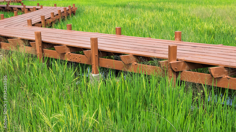 Wood platform at paddy field. Wood platform at paddy field.