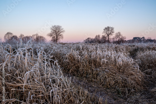 Fototapeta Naklejka Na Ścianę i Meble -  Rzeka Narew. Słoneczny poranek z przymrozkiem. Narwiański Park Narodowy. Podlasie. Polska