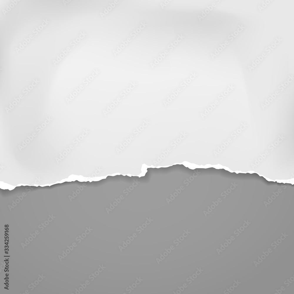 Obraz Piece of torn, ripped crumple white paper with soft shadow is on grey background for text. Vector illustration