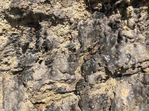 texture of rock stone 