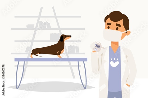 Character doctor physician, veterinarian, measure temperature of dog, pet, isolated on white, flat vector illustration. Medical room, table, thermometer, measuring device. Web concept banner.