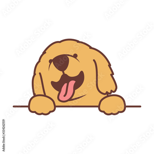 Cute golden retriever puppy paws up over wall, dog face vector illustration