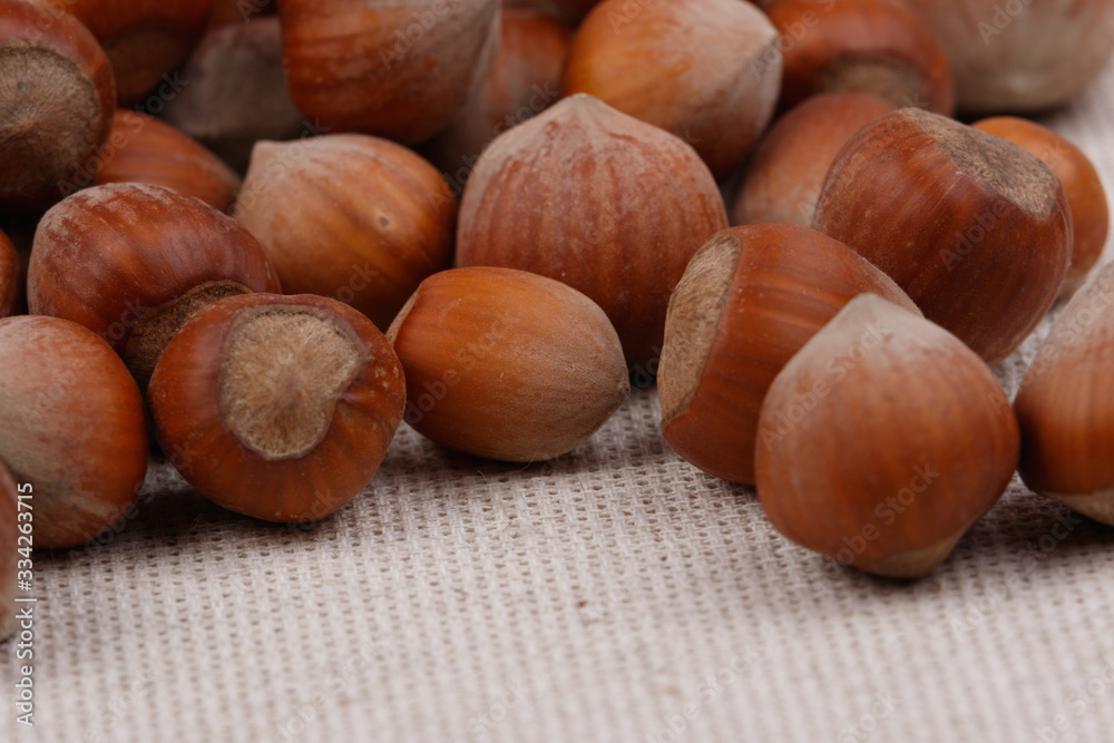 A pile of hazelnuts. Close-up.